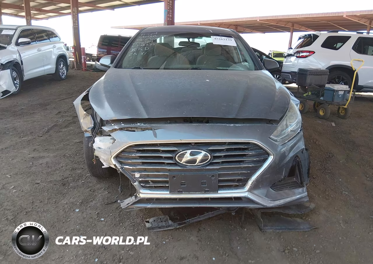 2019 Hyundai Sonata Se VIN:5NPE24AF6KH796124 - 17