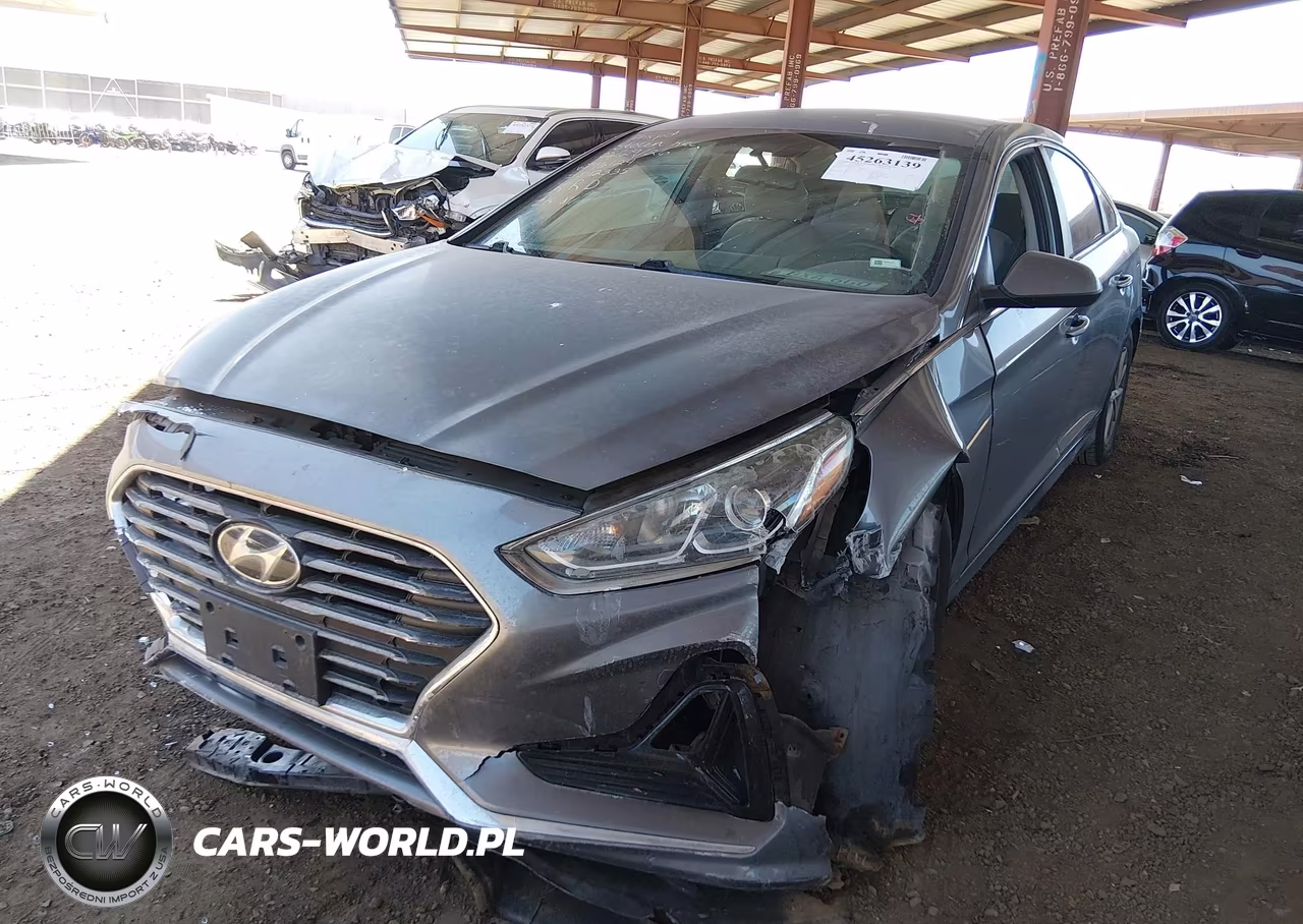 2019 Hyundai Sonata Se VIN:5NPE24AF6KH796124 - 18