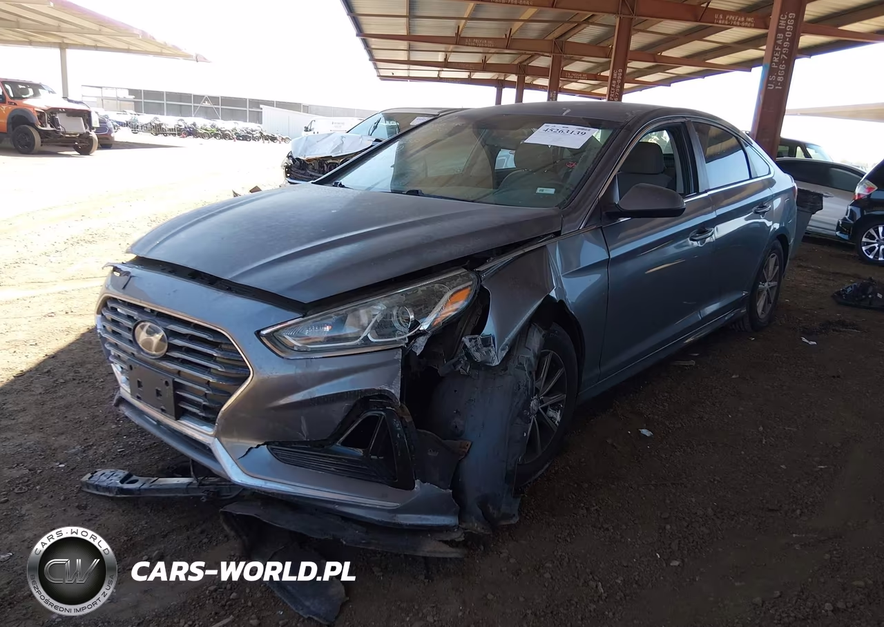 2019 Hyundai Sonata Se VIN:5NPE24AF6KH796124 - 2