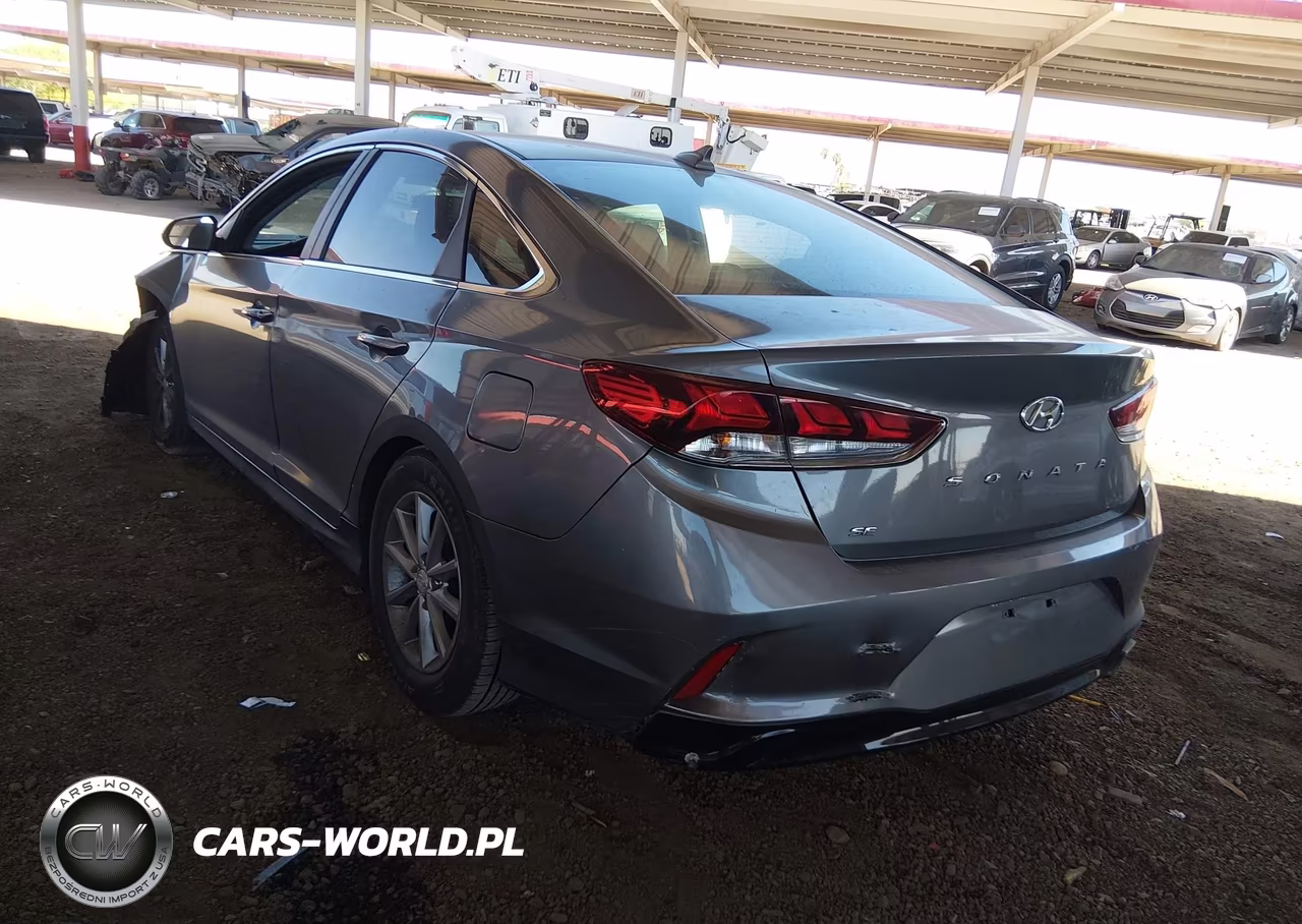 2019 Hyundai Sonata Se VIN:5NPE24AF6KH796124 - 3