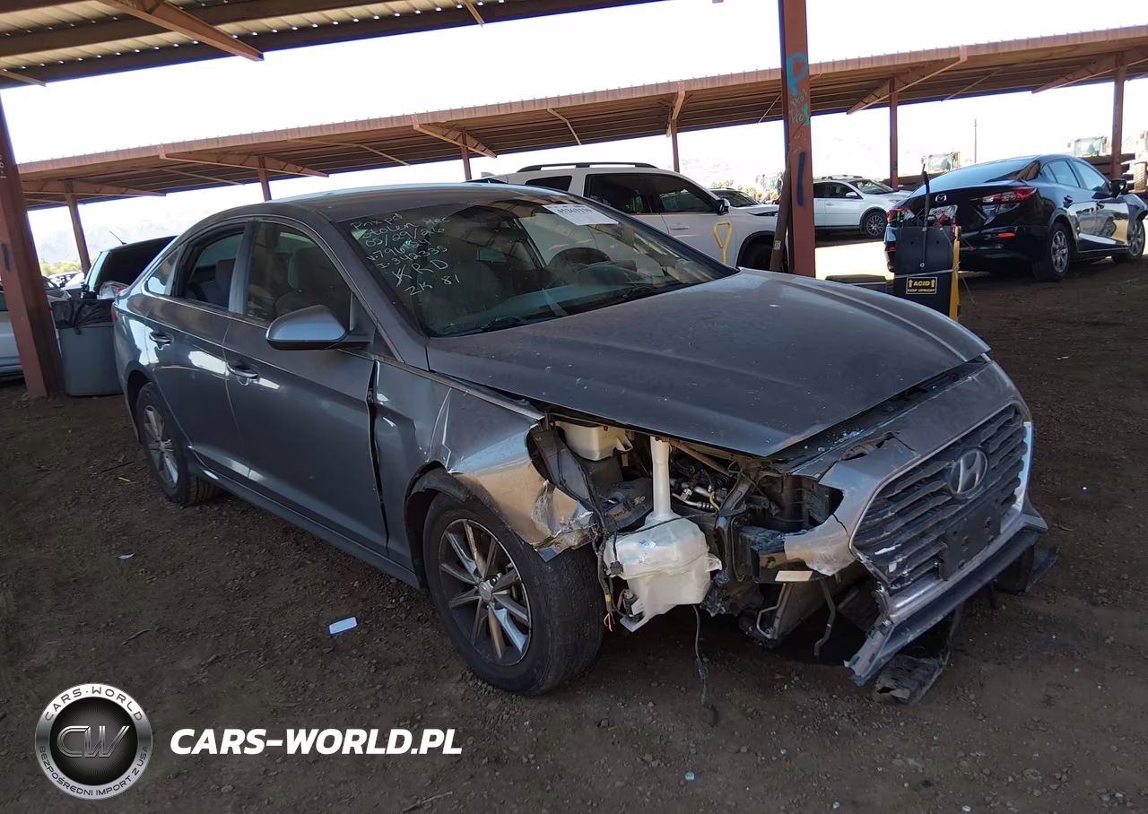 2019 Hyundai Sonata Se VIN:5NPE24AF6KH796124 - 6
