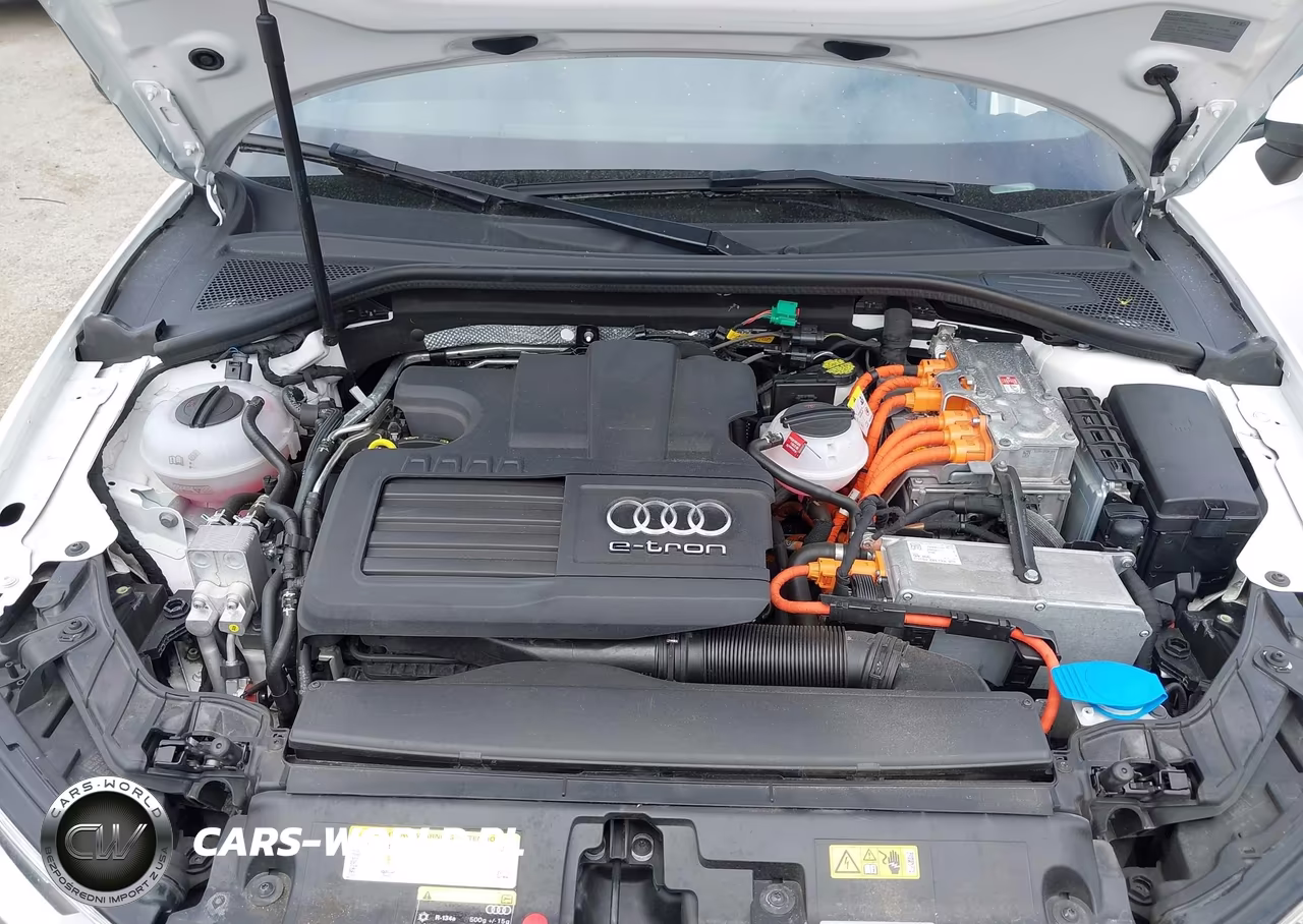 2017 Audi A3 E-Tron 1.4T Premium VIN:WAUUPBFF8HA044769 - 10
