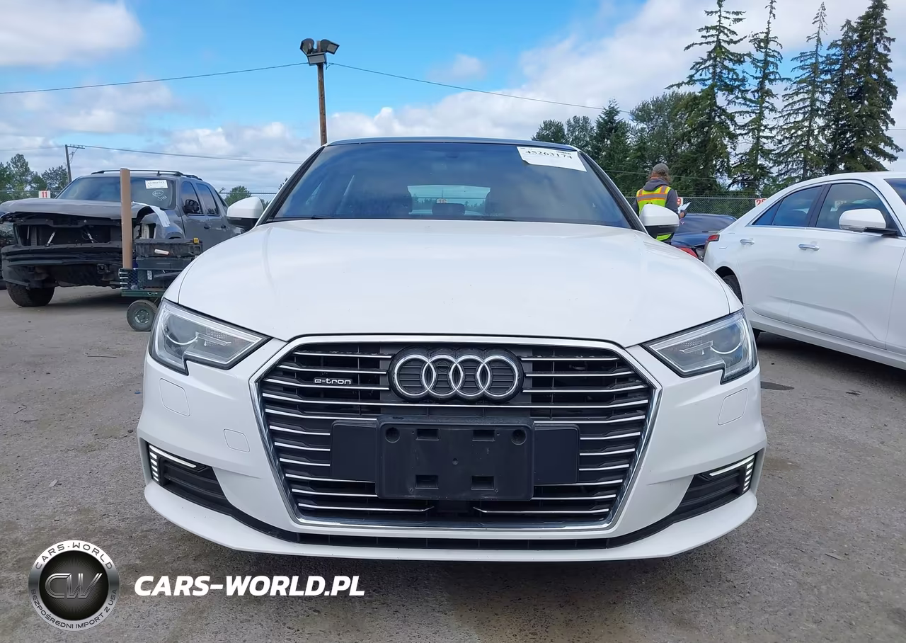 2017 Audi A3 E-Tron 1.4T Premium VIN:WAUUPBFF8HA044769 - 12
