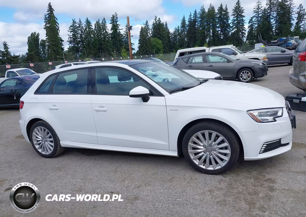2017 Audi A3 E-Tron 1.4T Premium VIN:WAUUPBFF8HA044769 - 13