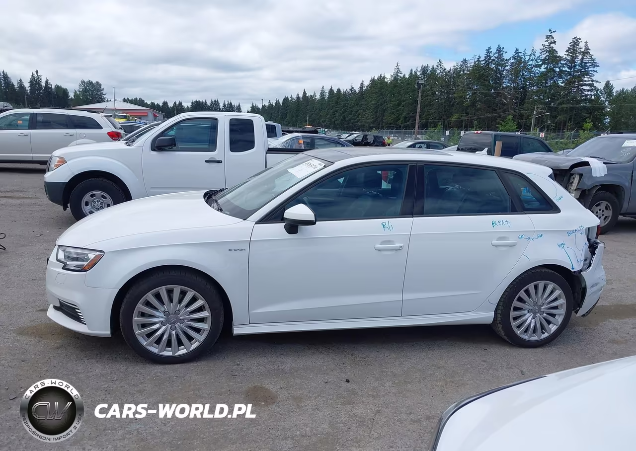 2017 Audi A3 E-Tron 1.4T Premium VIN:WAUUPBFF8HA044769 - 14