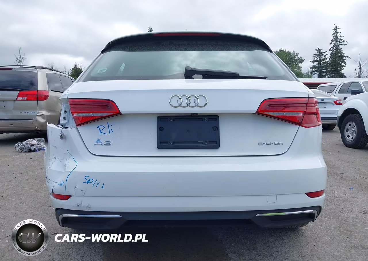 2017 Audi A3 E-Tron 1.4T Premium VIN:WAUUPBFF8HA044769 - 16