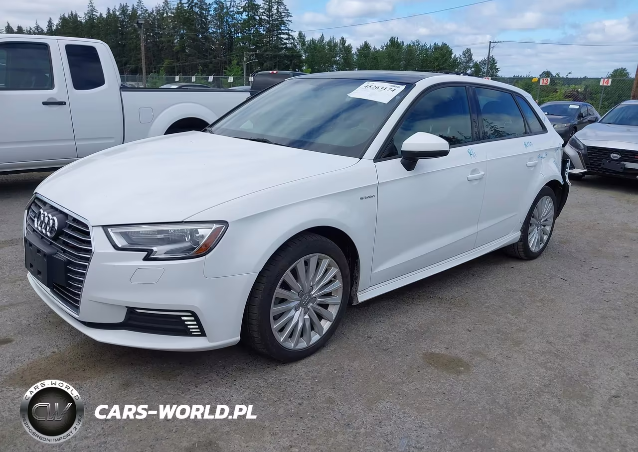 2017 Audi A3 E-Tron 1.4T Premium VIN:WAUUPBFF8HA044769 - 2