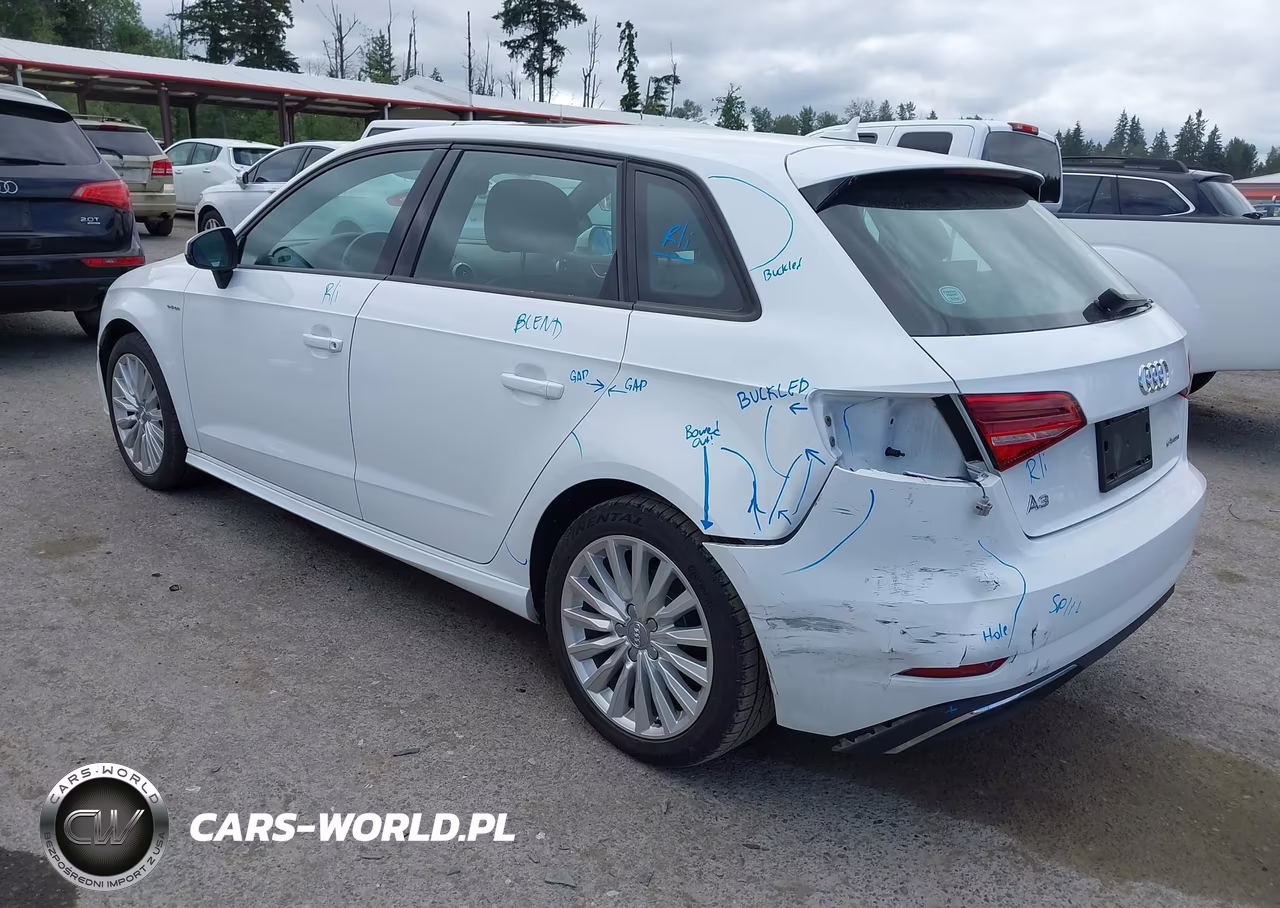 2017 Audi A3 E-Tron 1.4T Premium VIN:WAUUPBFF8HA044769 - 3