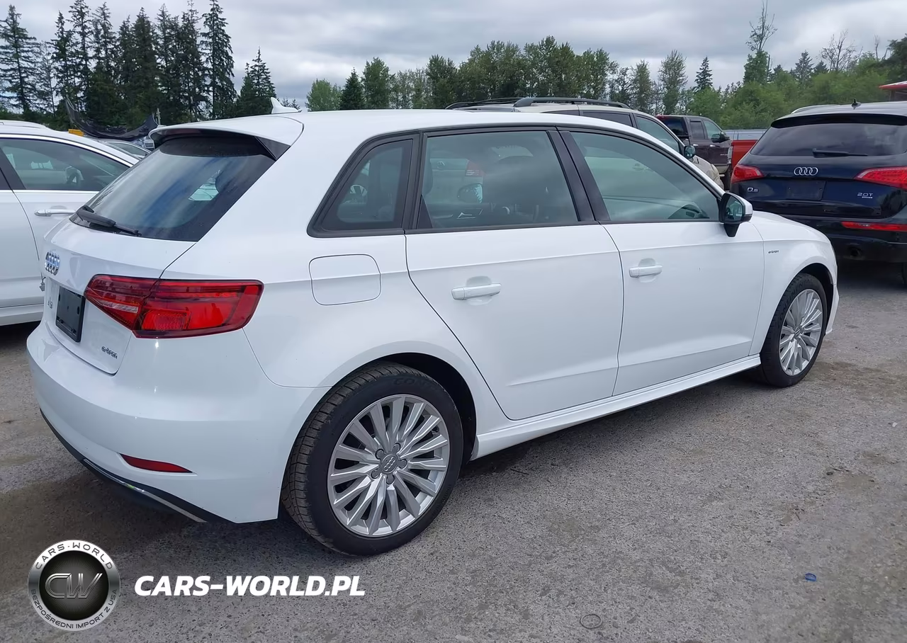 2017 Audi A3 E-Tron 1.4T Premium VIN:WAUUPBFF8HA044769 - 4