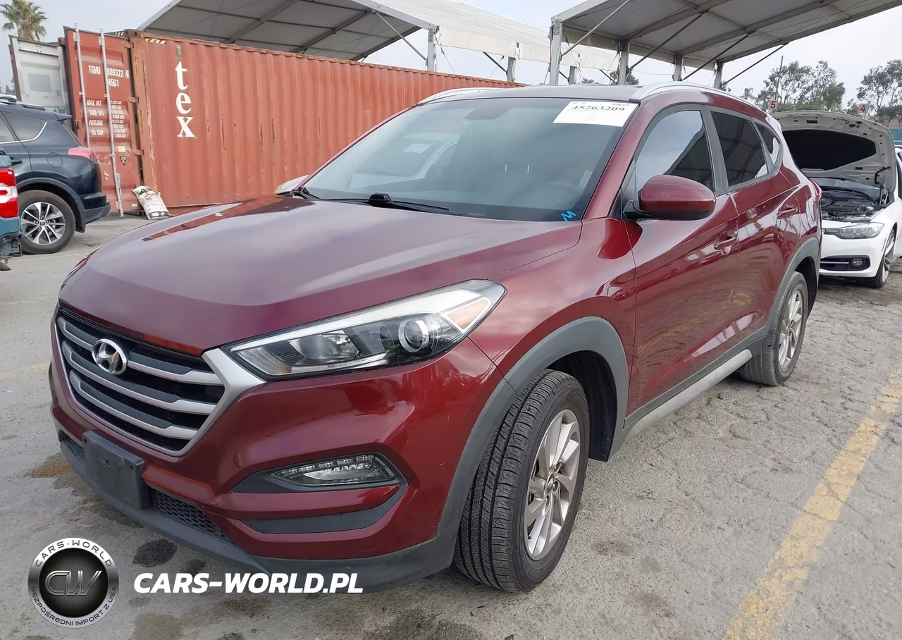 2017 Hyundai Tucson Se VIN:KM8J33A41HU396115 - 2