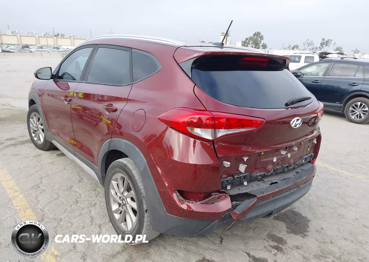 2017 Hyundai Tucson Se VIN:KM8J33A41HU396115 - 3