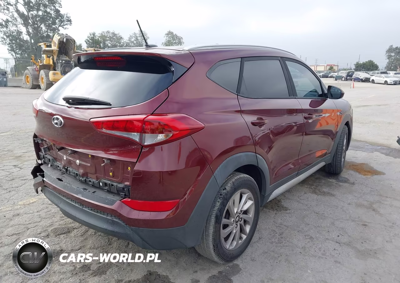 2017 Hyundai Tucson Se VIN:KM8J33A41HU396115 - 4