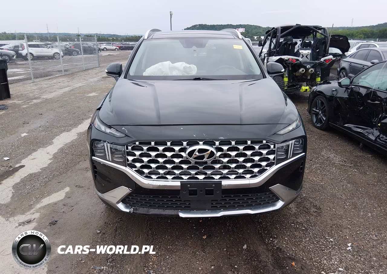 2023 Hyundai Santa Fe Limited VIN:5NMS4DAL7PH516976 - 12