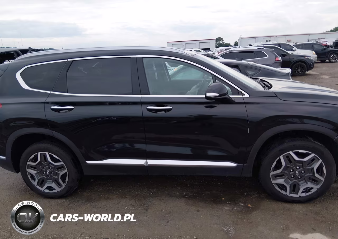 2023 Hyundai Santa Fe Limited VIN:5NMS4DAL7PH516976 - 13