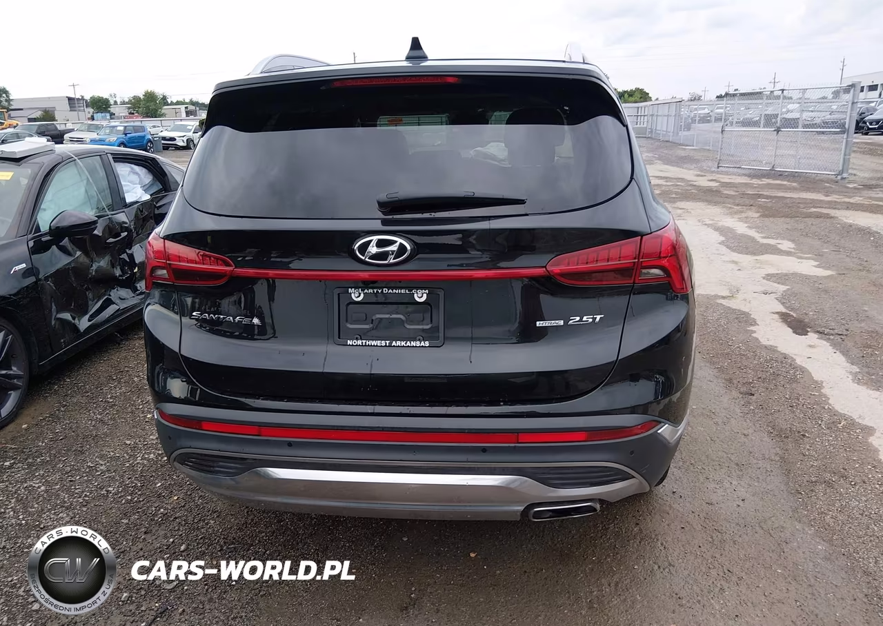 2023 Hyundai Santa Fe Limited VIN:5NMS4DAL7PH516976 - 16