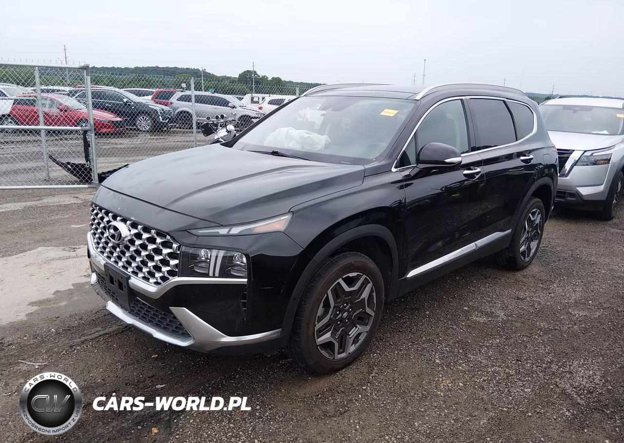 2023 Hyundai Santa Fe Limited VIN:5NMS4DAL7PH516976 - 2