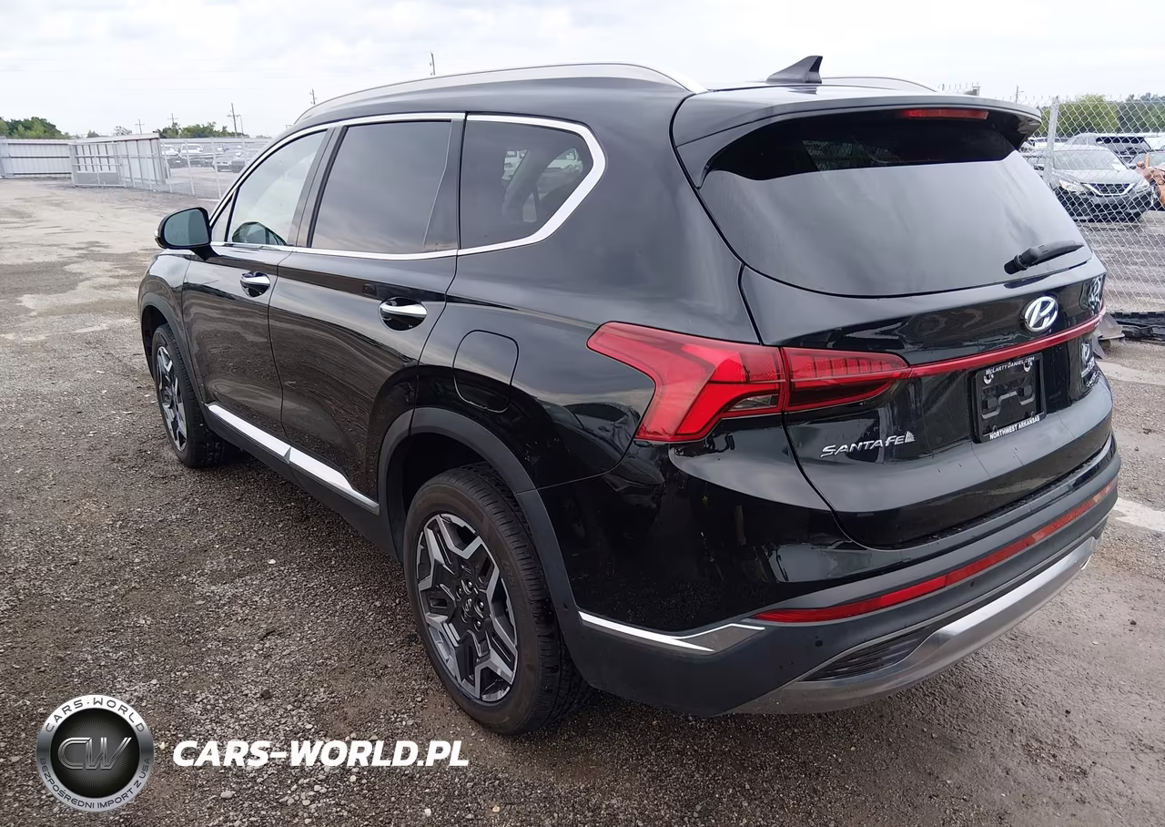 2023 Hyundai Santa Fe Limited VIN:5NMS4DAL7PH516976 - 3