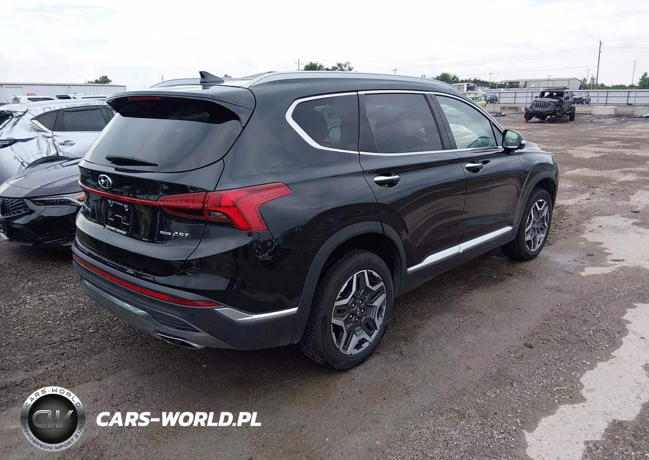2023 Hyundai Santa Fe Limited VIN:5NMS4DAL7PH516976 - 4