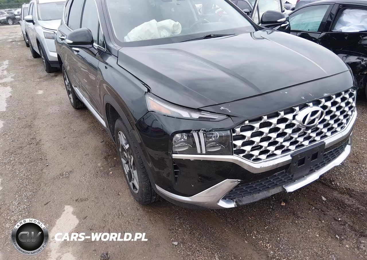 2023 Hyundai Santa Fe Limited VIN:5NMS4DAL7PH516976 - 6