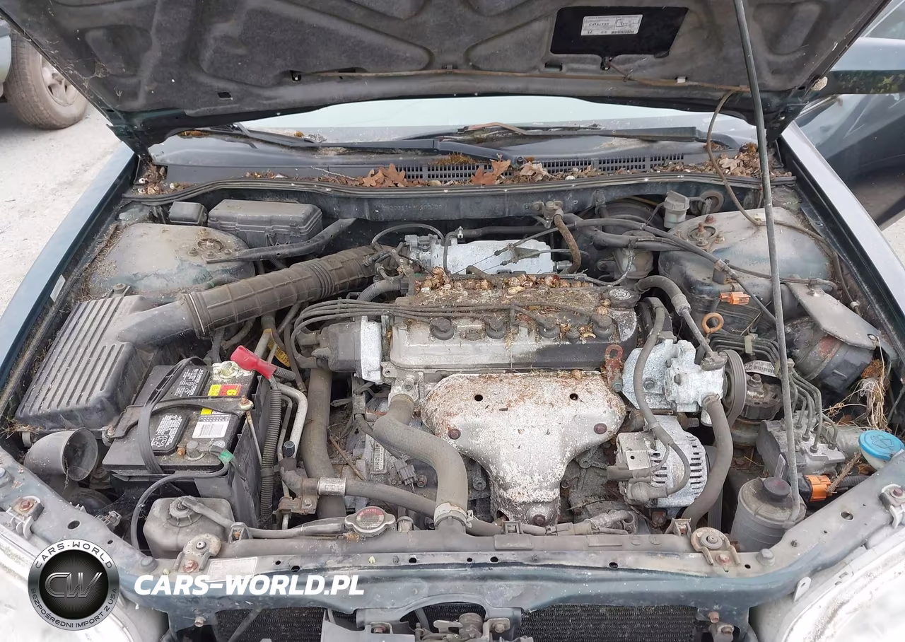 1998 Honda Accord Ex VIN:1HGCG3156WA004627 - 10