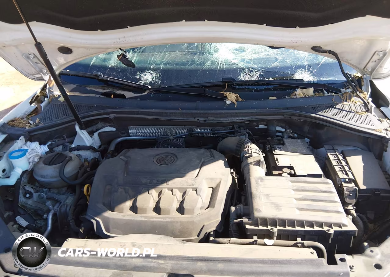 2018 Volkswagen Tiguan 2.0T Se-2.0T Sel VIN:3VV3B7AX2JM001064 - 10