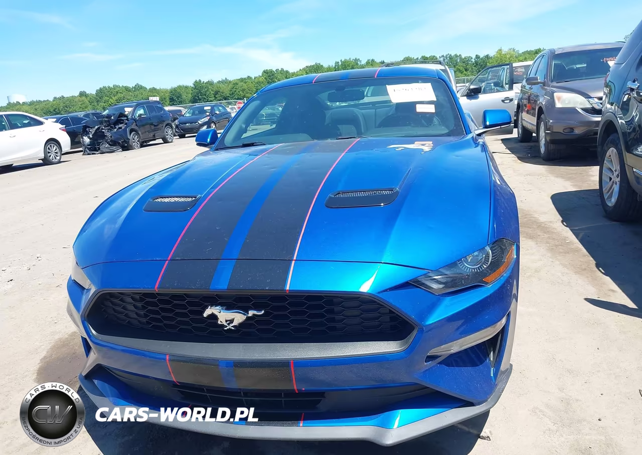 2018 Ford Mustang Ecoboost VIN:1FA6P8TH7J5183705 - 12
