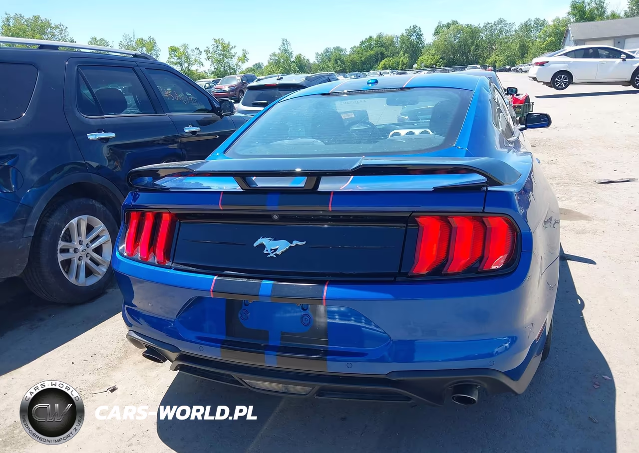 2018 Ford Mustang Ecoboost VIN:1FA6P8TH7J5183705 - 16