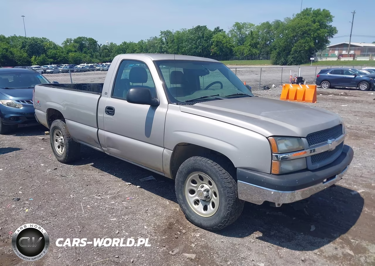 2005 Chevrolet Silverado 1500 Work Truck