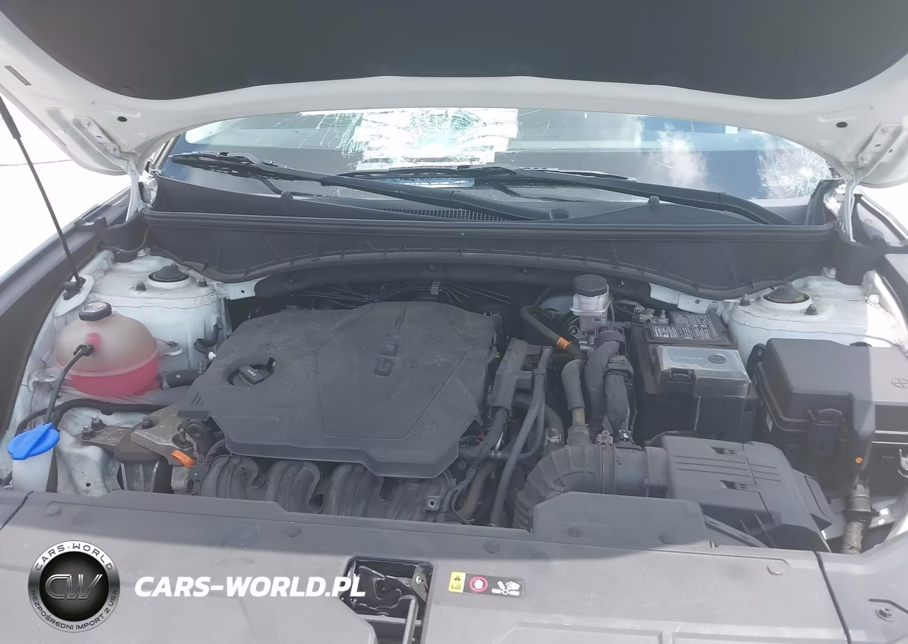 2022 Hyundai Tucson Limited VIN:5NMJECAE4NH106220 - 10