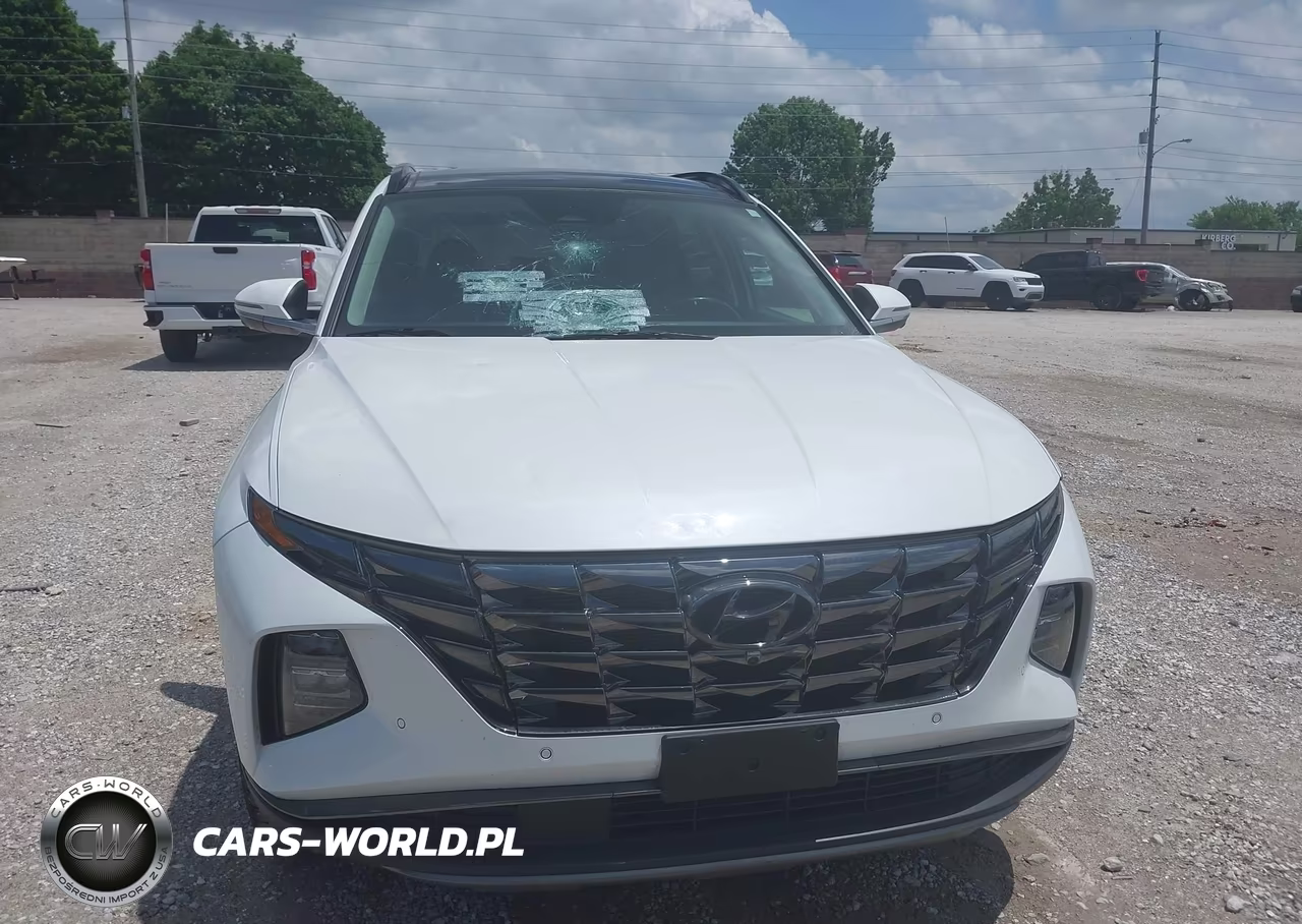 2022 Hyundai Tucson Limited VIN:5NMJECAE4NH106220 - 12