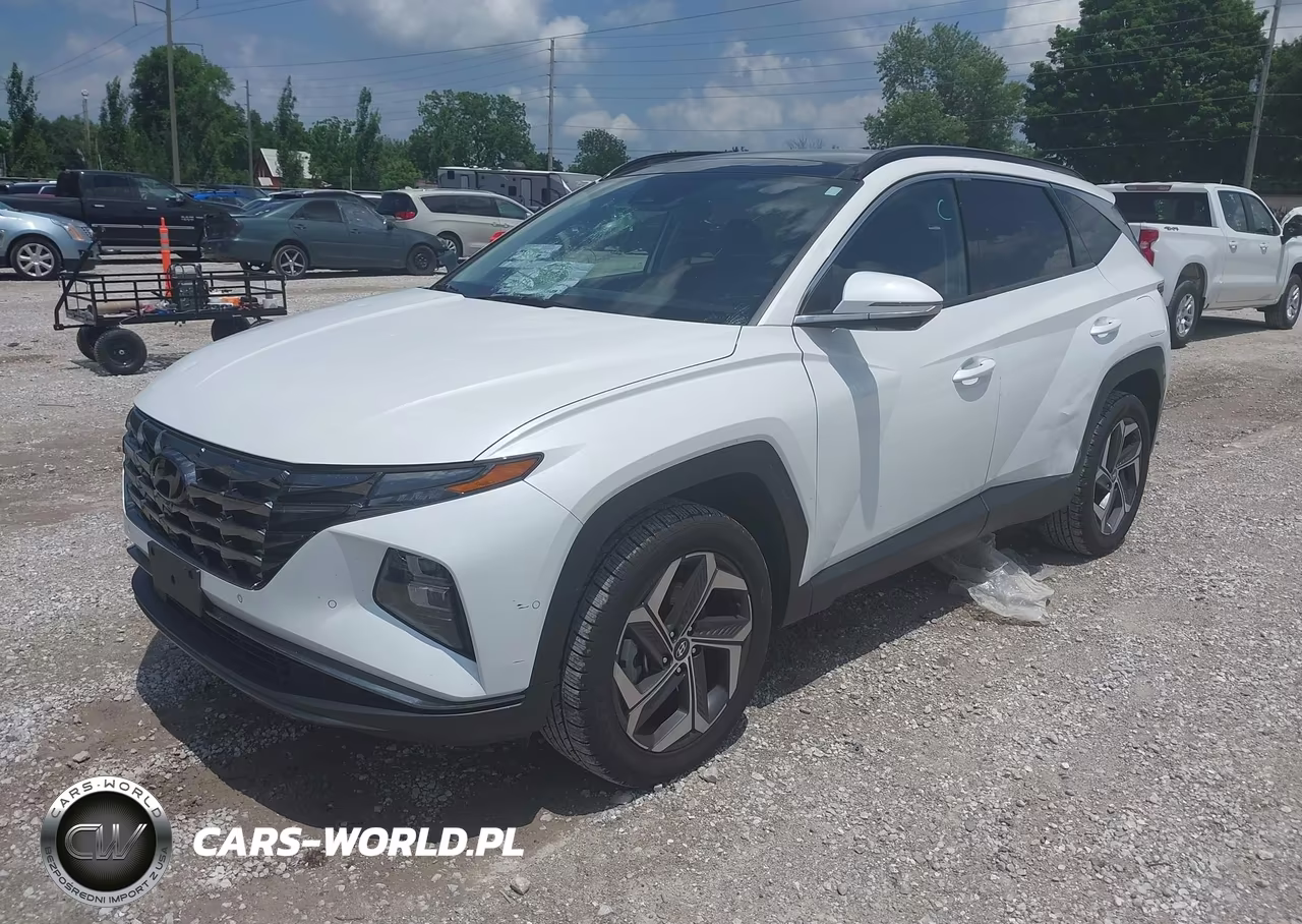 2022 Hyundai Tucson Limited VIN:5NMJECAE4NH106220 - 2
