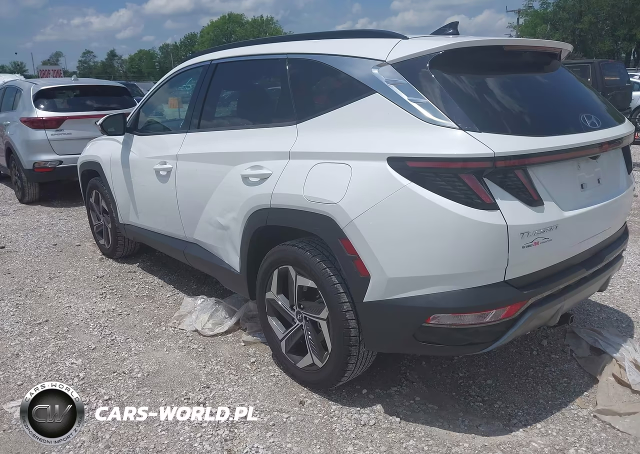 2022 Hyundai Tucson Limited VIN:5NMJECAE4NH106220 - 3