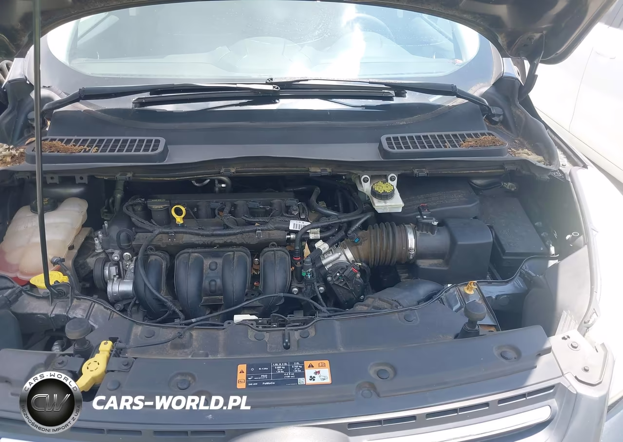 2015 Ford Escape Se VIN:1FMCU0G71FUB45372 - 10
