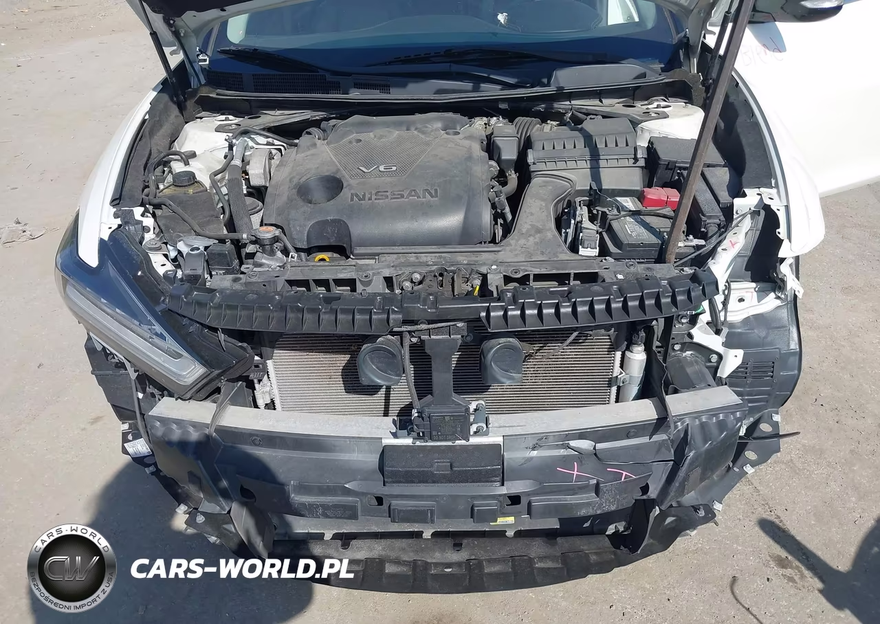 2019 Nissan Maxima 3.5 Sv VIN:1N4AA6AVXKC366117 - 10