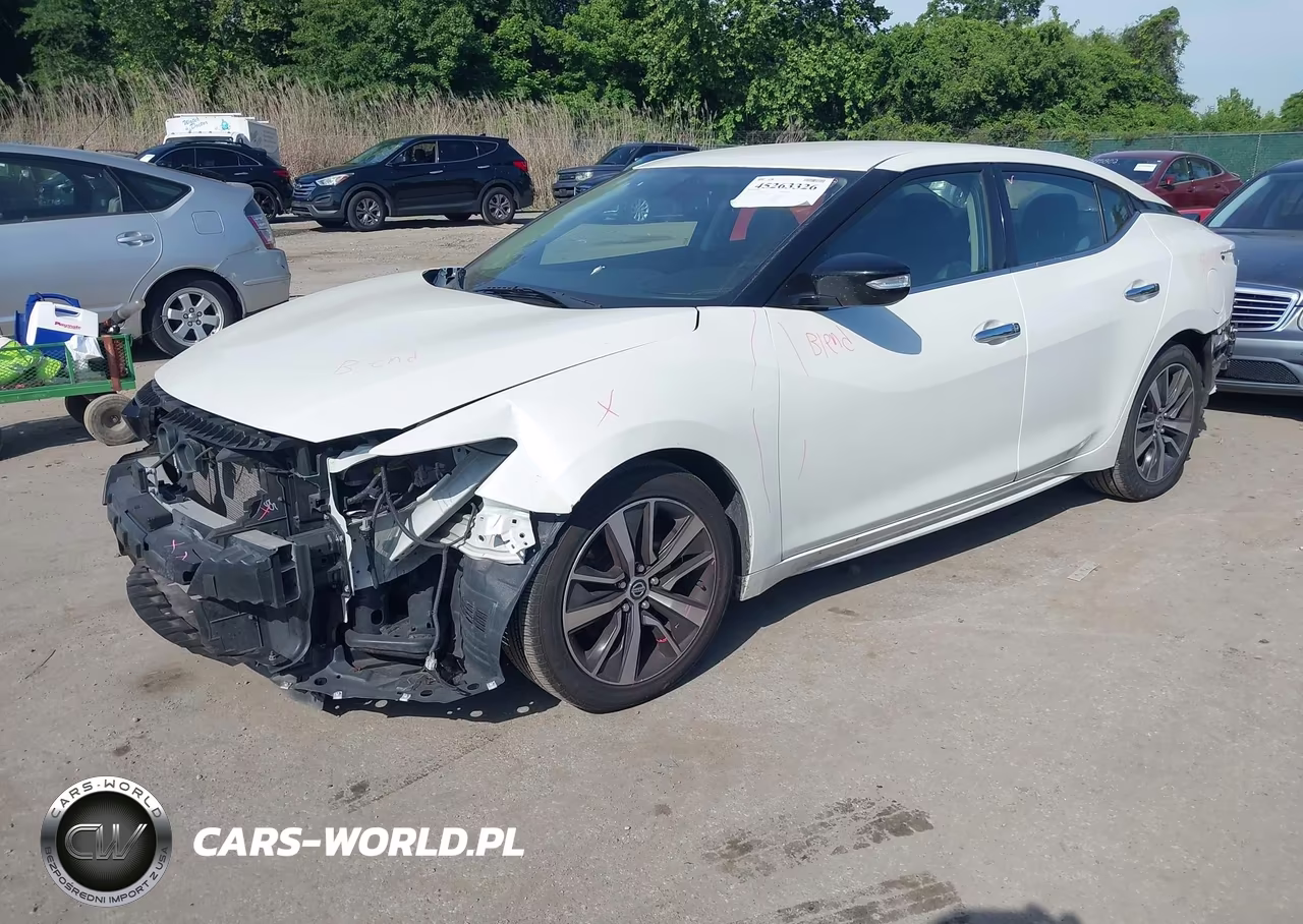 2019 Nissan Maxima 3.5 Sv VIN:1N4AA6AVXKC366117 - 2