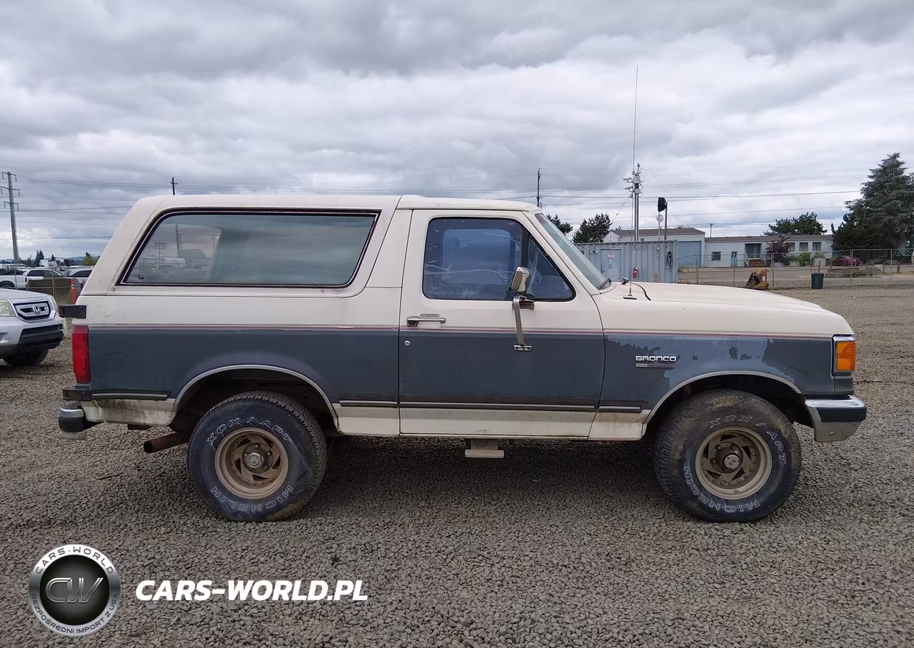 1991 Ford Bronco U100 VIN:1FMEU15H4MLA44551 - 13