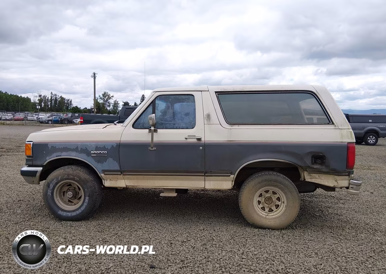 1991 Ford Bronco U100 VIN:1FMEU15H4MLA44551 - 14