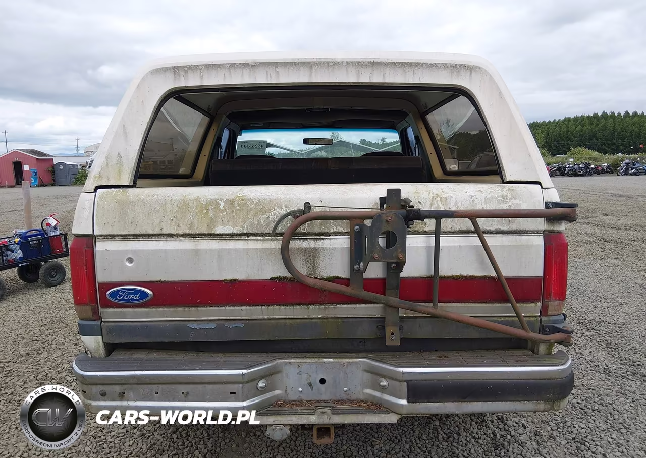 1991 Ford Bronco U100 VIN:1FMEU15H4MLA44551 - 16