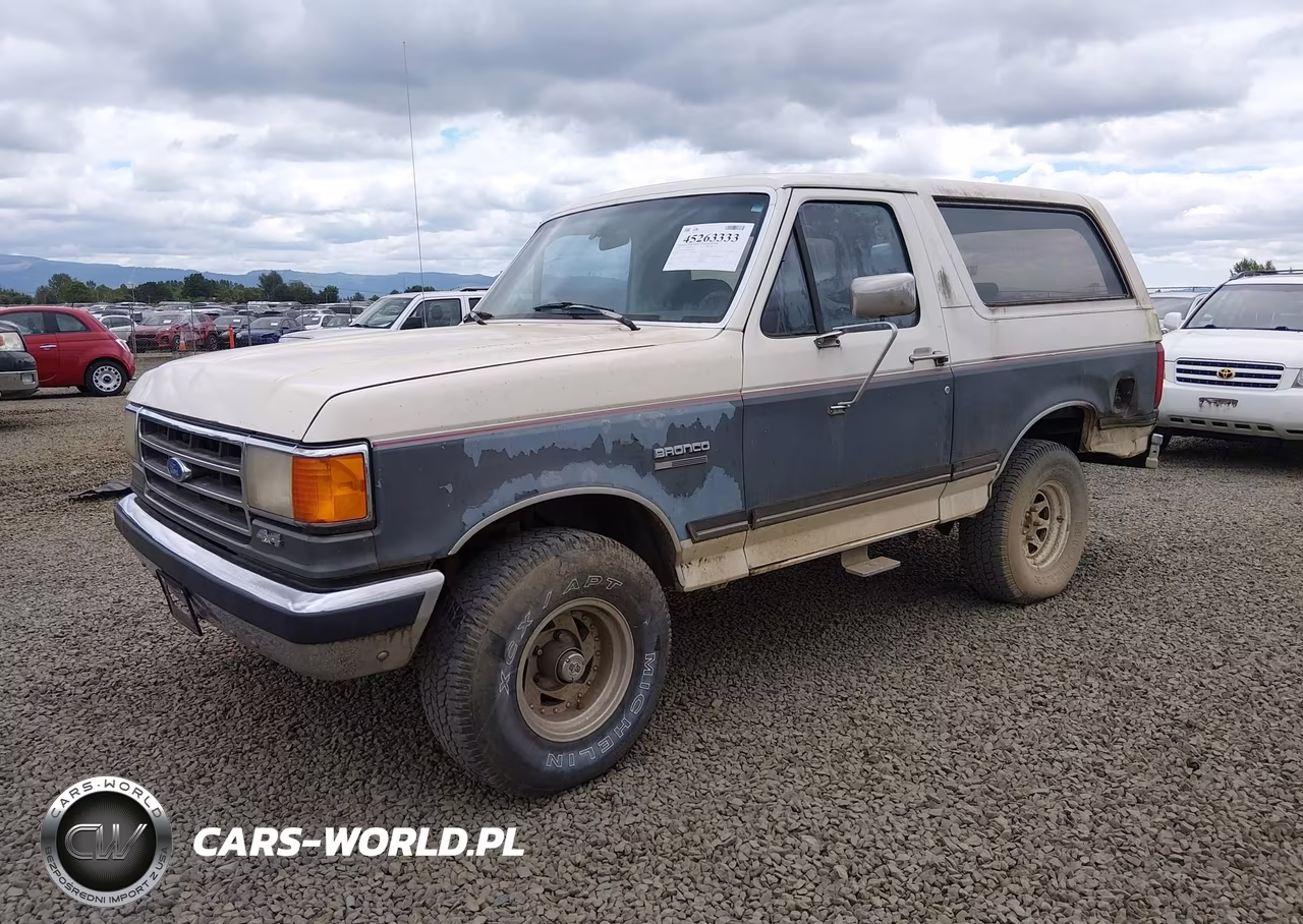 1991 Ford Bronco U100 VIN:1FMEU15H4MLA44551 - 2