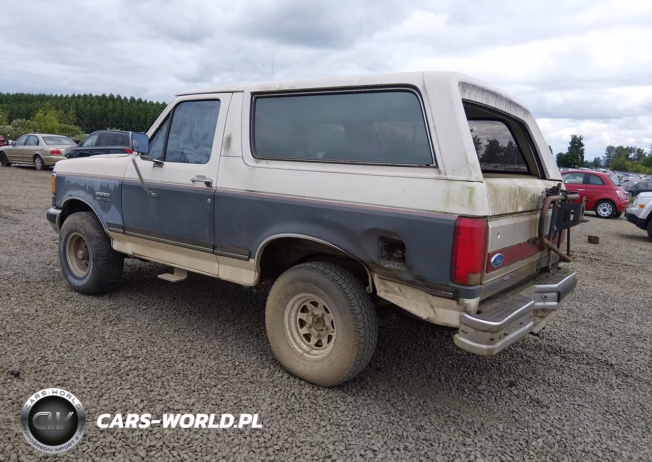1991 Ford Bronco U100 VIN:1FMEU15H4MLA44551 - 3