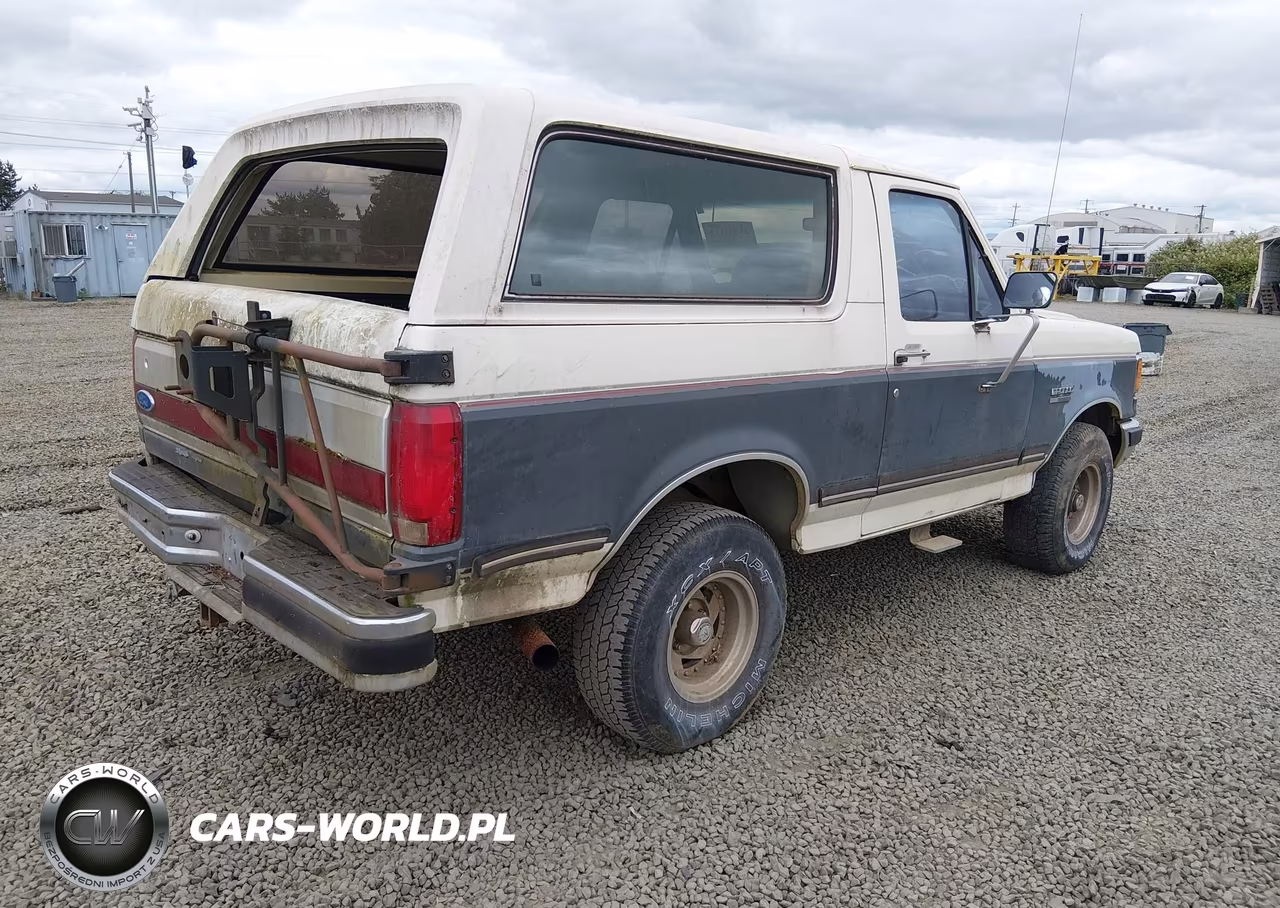 1991 Ford Bronco U100 VIN:1FMEU15H4MLA44551 - 4