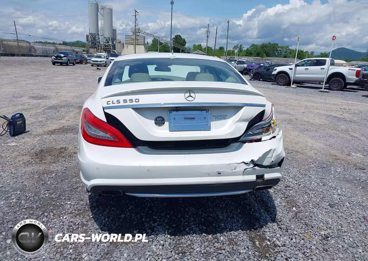 2014 Mercedes-Benz Cls 550 VIN:WDDLJ7DB6EA120908 - 17