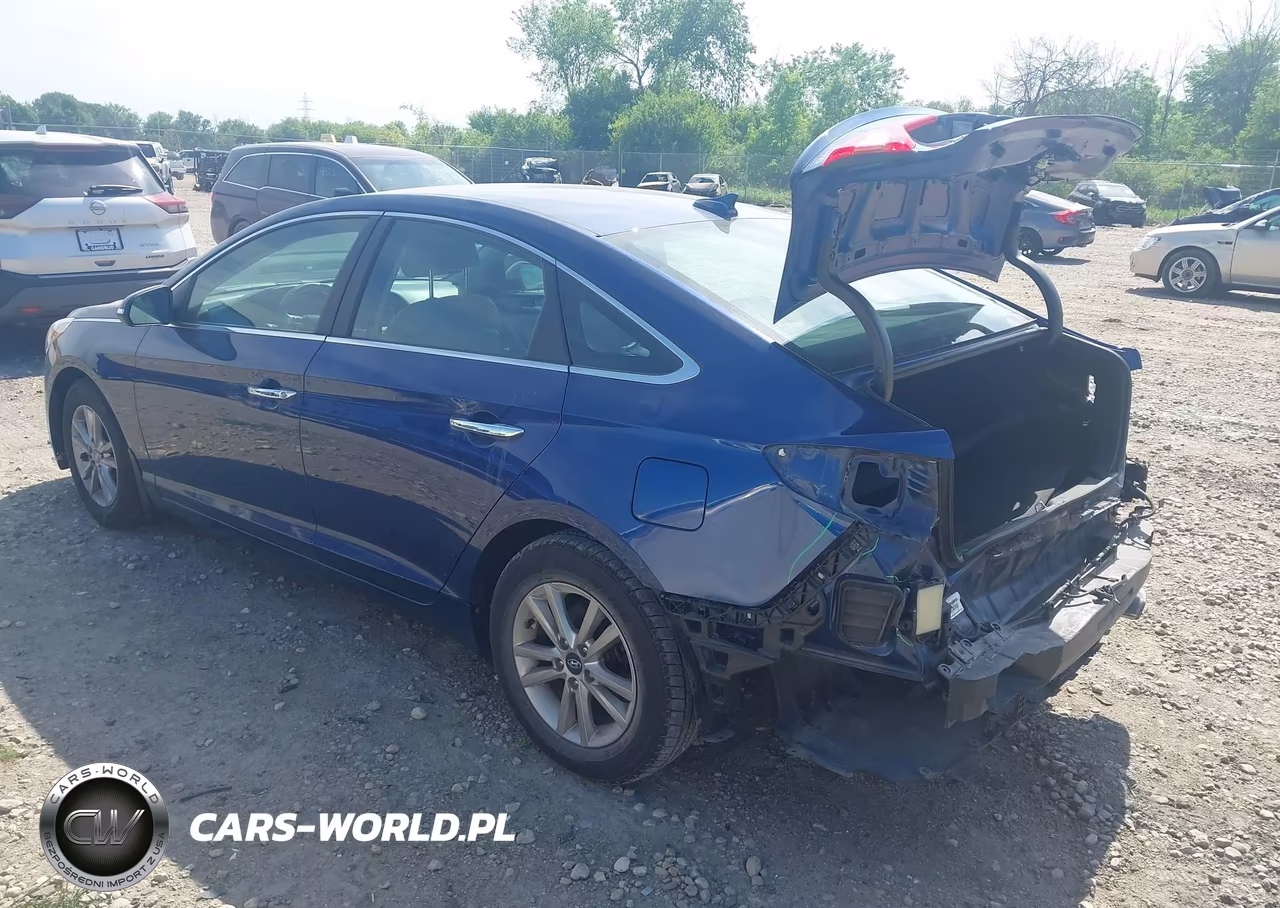 2015 Hyundai Sonata Eco VIN:5NPE24AA6FH138233 - 13