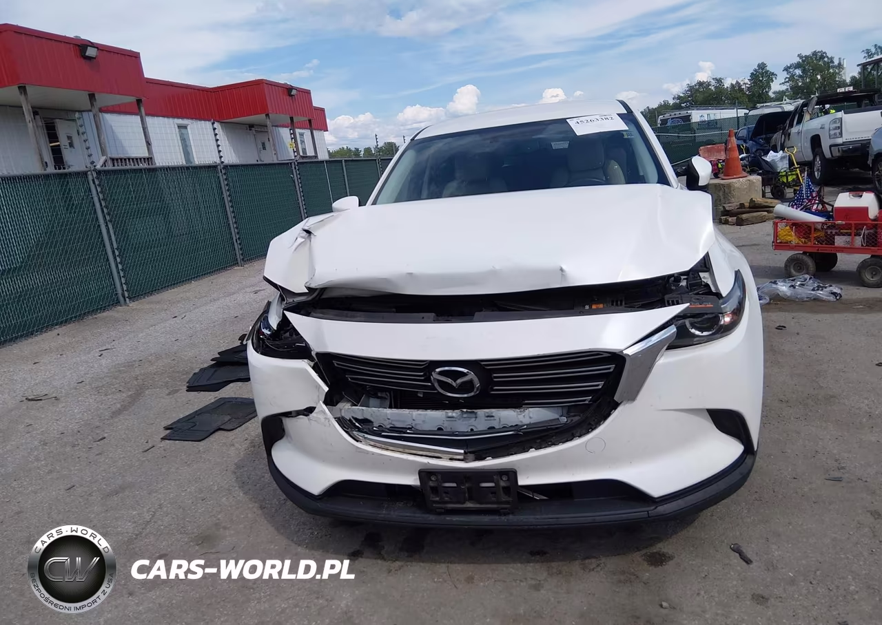 2016 Mazda Cx-9 Touring VIN:JM3TCBCY9G0117918 - 12