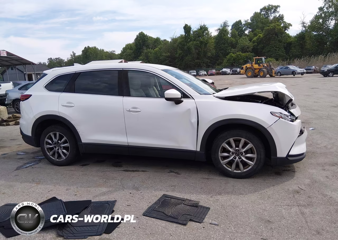 2016 Mazda Cx-9 Touring VIN:JM3TCBCY9G0117918 - 13