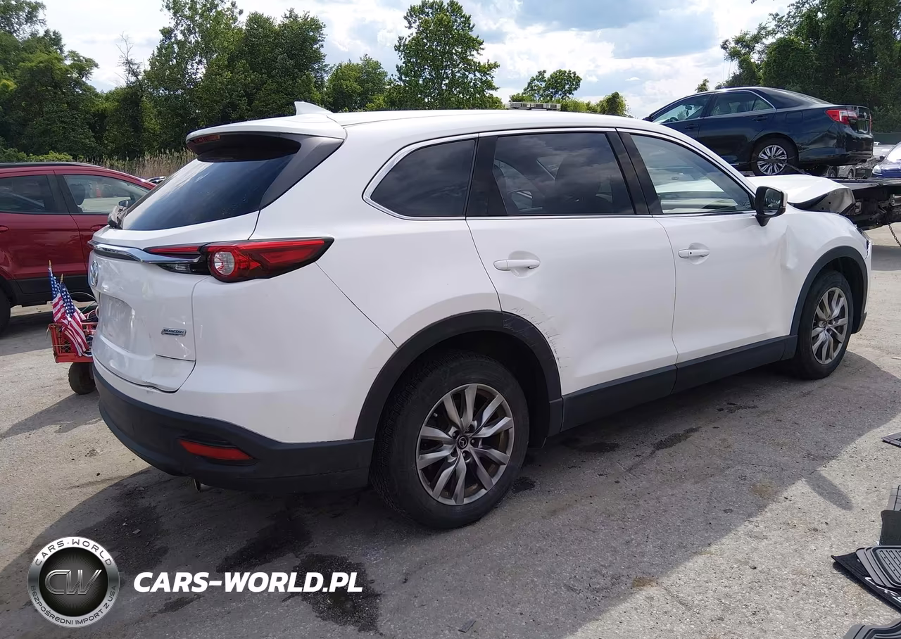 2016 Mazda Cx-9 Touring VIN:JM3TCBCY9G0117918 - 4
