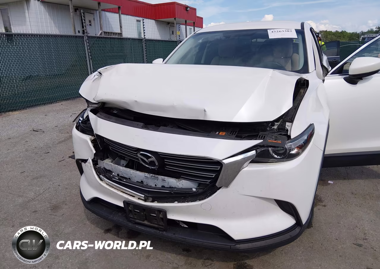 2016 Mazda Cx-9 Touring VIN:JM3TCBCY9G0117918 - 6