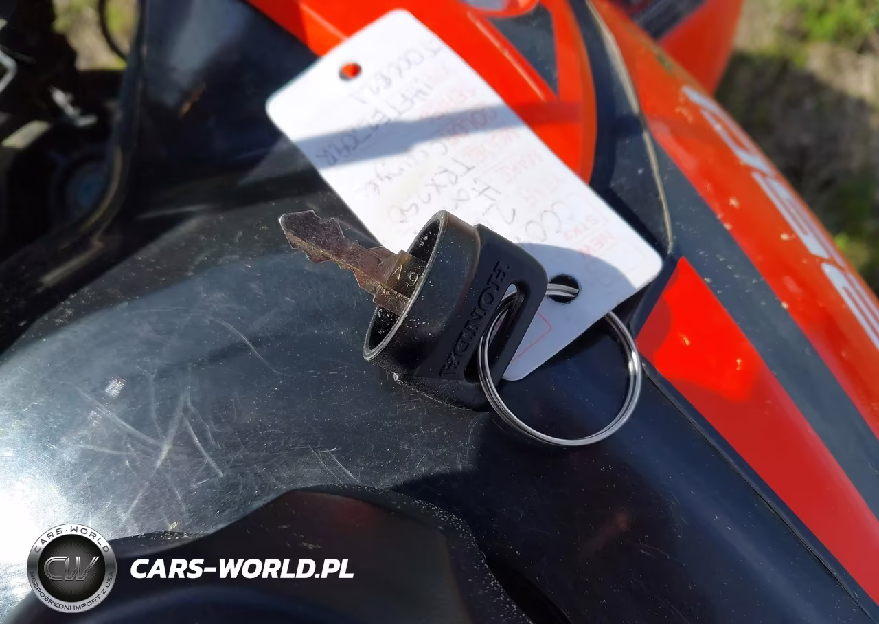 2024 Honda Trx250 X VIN:1HFTE2709RJ000821 - 11