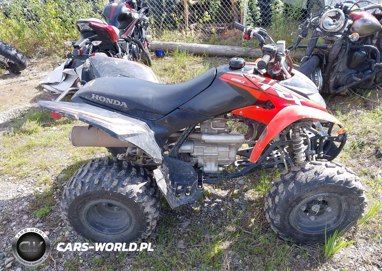 2024 Honda Trx250 X VIN:1HFTE2709RJ000821 - 12