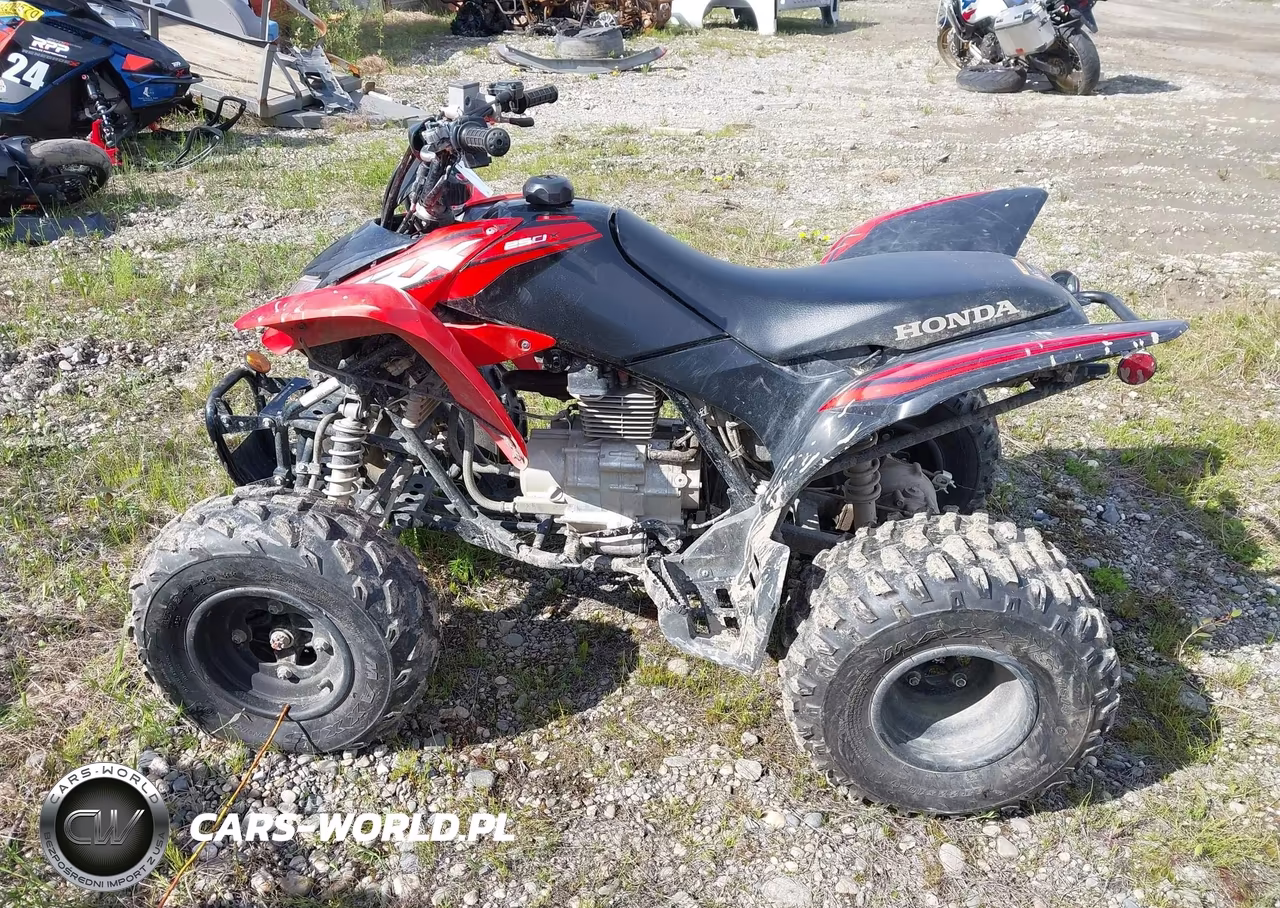 2024 Honda Trx250 X VIN:1HFTE2709RJ000821 - 13